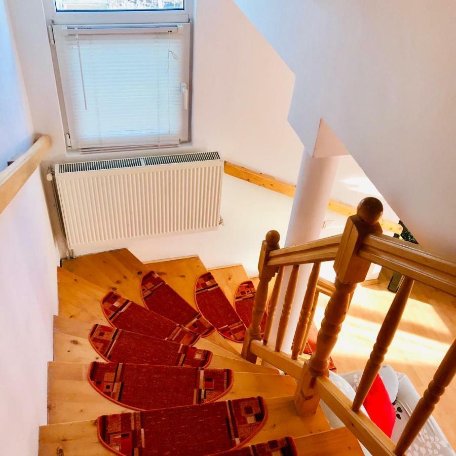 Vila Ekooos Braşov Extérieur photo
