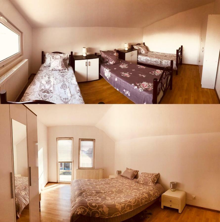 Vila Ekooos Braşov Extérieur photo