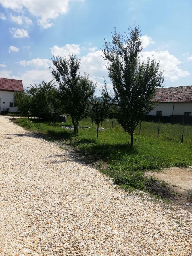 Vila Ekooos Braşov Extérieur photo